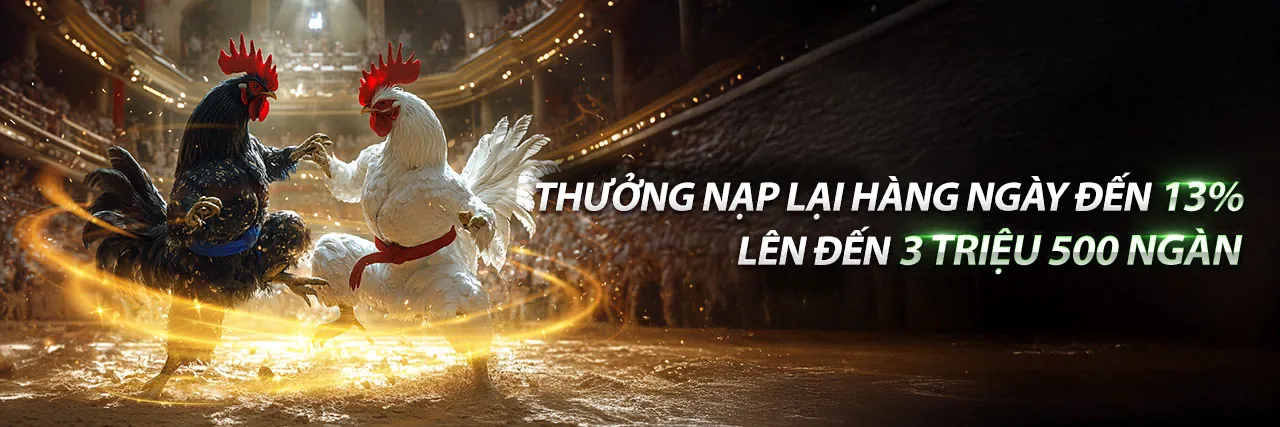 Hình ảnh đá gà trực tuyến tại 8888vi